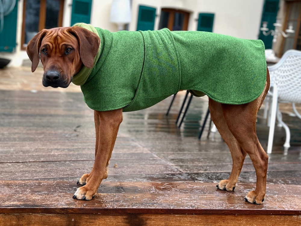 Winter CARDIGAN Jacke Grün GRÜN